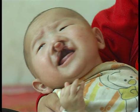 杨采妮怀孕5个月宛若少女，养胎不养肉有妙招