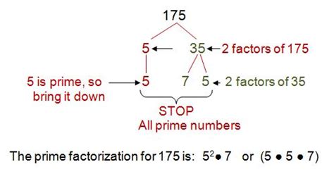 factors的意思是什么?