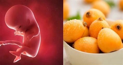 孕15周胎儿可以听胎教音乐了吗