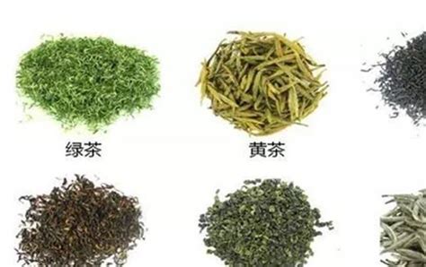 茶的种类有多少种?