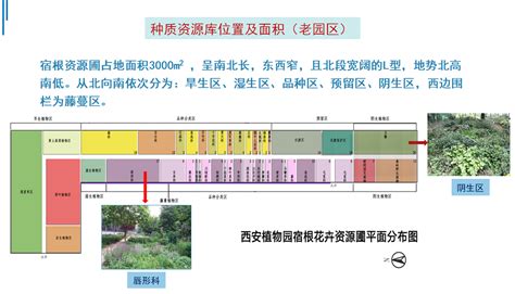 花卉种质资源有什么作用？