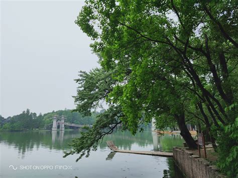 武汉东西湖开车到洪湖需要多少时间和收费,大武汉跻身世界级地铁城市
