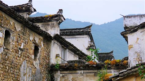 广东省汕头市仙城镇的资料