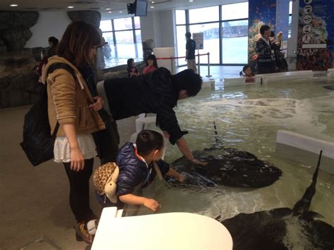 小孩小孩真爱玩摸摸这