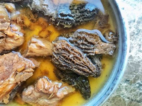 松茸菌羊肚菌金耳排骨汤的做法窍门 羊肚菌松茸排骨汤图片