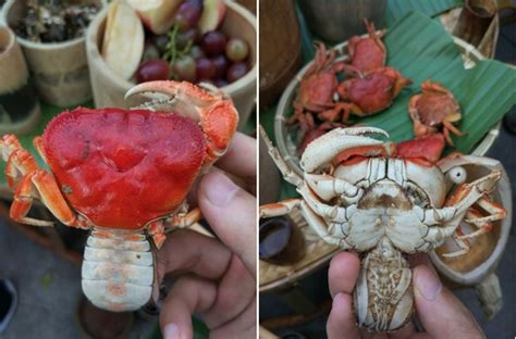 做螃蟹大虾腥气重,螃蟹和虾子一起怎么炒