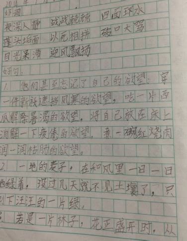 一年级好句子摘抄以下【共计75段】