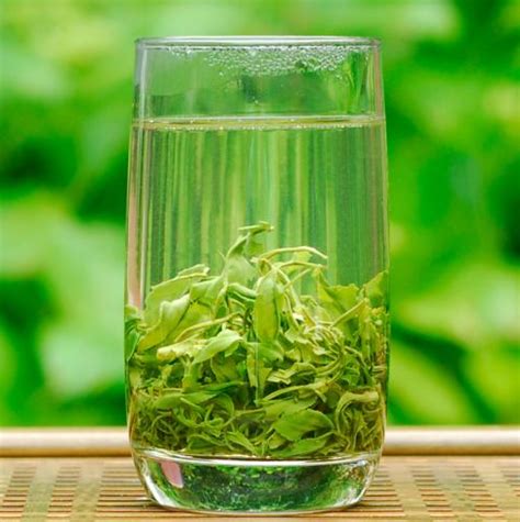 产茶大县如何确保茶叶质量安全文章,确保茶叶管理质量和成活率