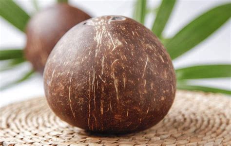 微型椰子怎么养？要注意什么？