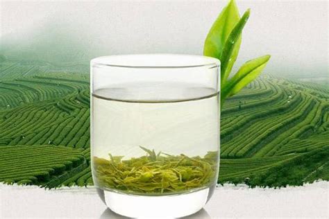 你喝过最好喝的是什么,绿茶什么产地的比较好