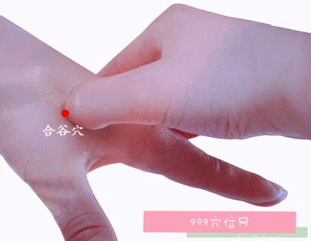 合谷穴位的准确位置图