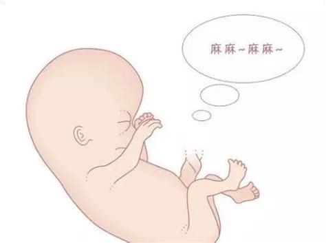几周胎儿容易缺氧