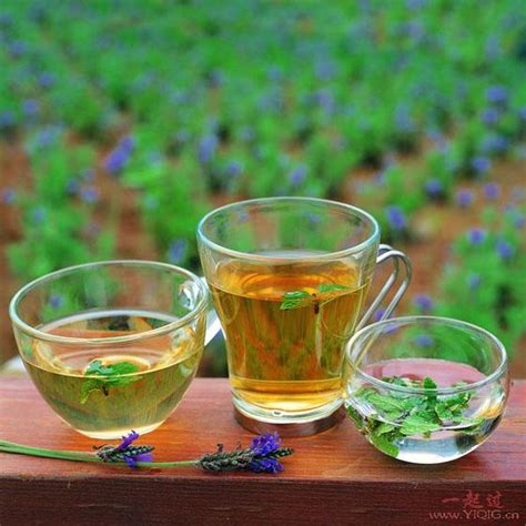 想选一款日常品饮的普洱熟茶,什么样的普洱熟茶算是好茶