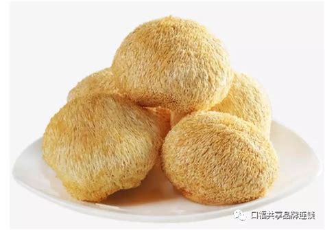 猴头菇粉的功效与作用有哪些,姬松茸猴头菇粉的作用