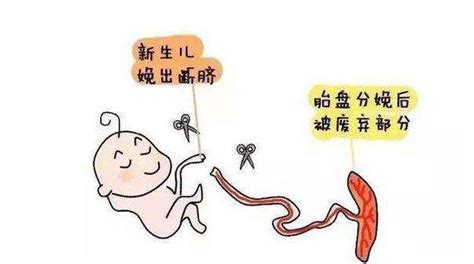 胎儿脐带绕颈准妈妈有什么感觉吗