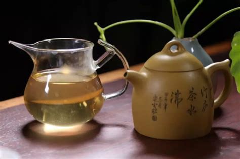 喝什么茶可以去除湿气,去湿气买什么茶叶管用