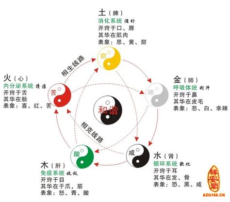 95猪和98虎五行分析研究