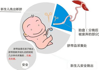 31周脐血流高怎么治疗