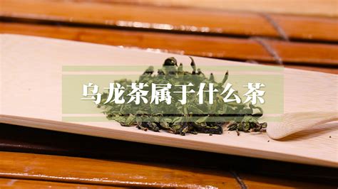 福建省有哪些绿茶,超小众的福建绿茶