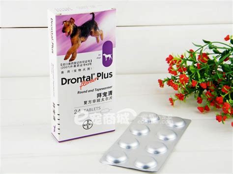 拜寵清真的一般多少錢啊 ?