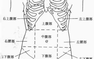 上腹中间一条线硬
