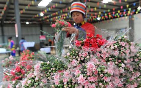 想知道: 西安市 雁锦花卉市场 在哪