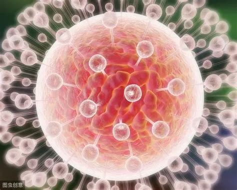 循环肿瘤细胞,单细胞测序能推动精准医疗2.0时代