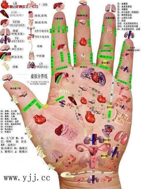 催经的穴位手指