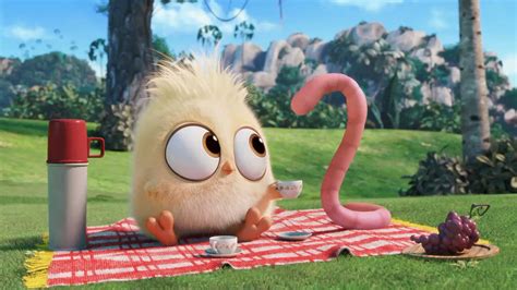 我想养小鸟_关于我想养鸟作文200字【共计10则】