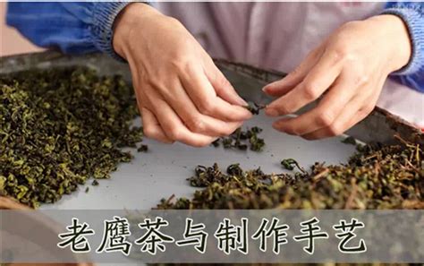 老鹰茶红白茶