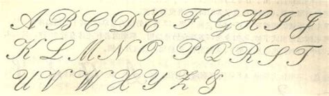 花朵的英文名言