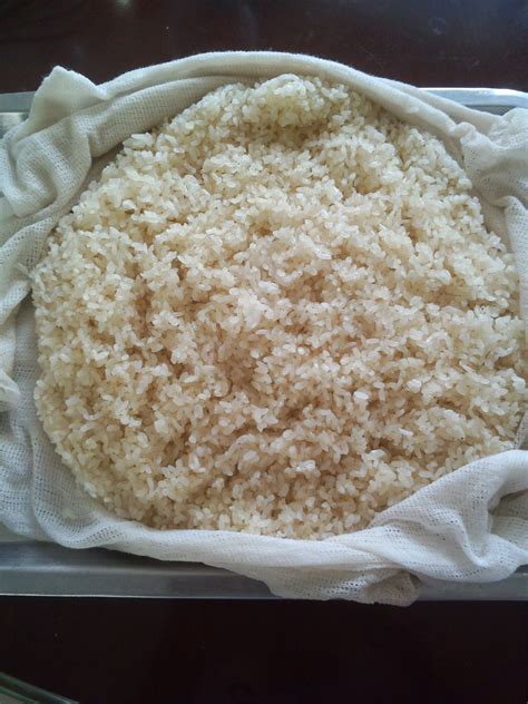 米酒机做米酒的做法,用米酒机怎么做米酒