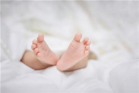 三胎生育政策2022最新政策
