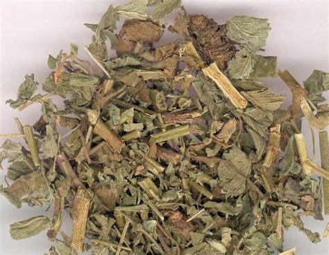 复活草的功效与作用和禁忌