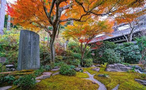 日本镰仓长谷寺庭院，到底藏有几座良缘地藏石像，你全都找到了么
