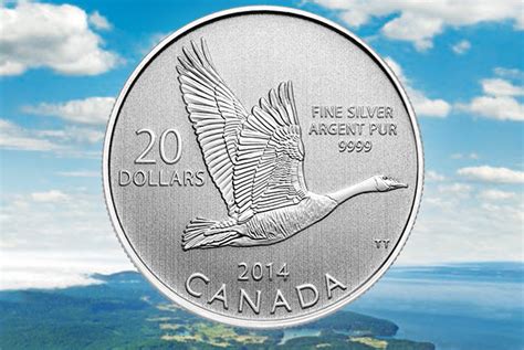 加拿大鹅大概多少人民币一件,一掷千金买的加拿大鹅