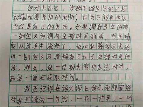 《铁皮狗》-读后感600字[共计7则]