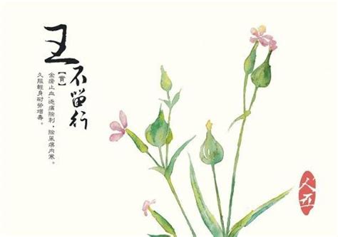 遏蓝菜的唯美抖音说说(汇总110条)
