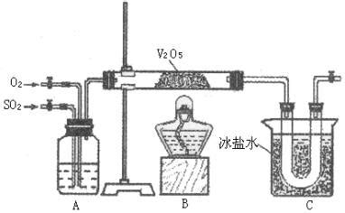 硫与氯气反应现象