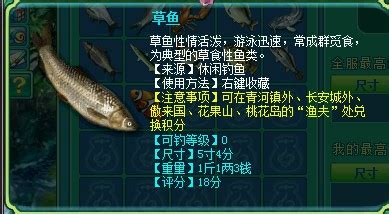 “鳞瓦将军”_我家的小鱼作文300字（精选4则）