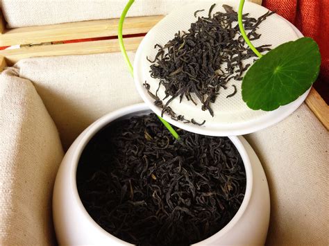 毛尖和安化黑茶哪个好,红观茶丨安化黑茶的进化