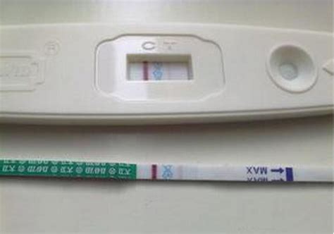孕妇的血多久能验出孕男或女