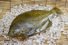 牙鲆怎么吃,十斤重牙鲆鱼45元一斤