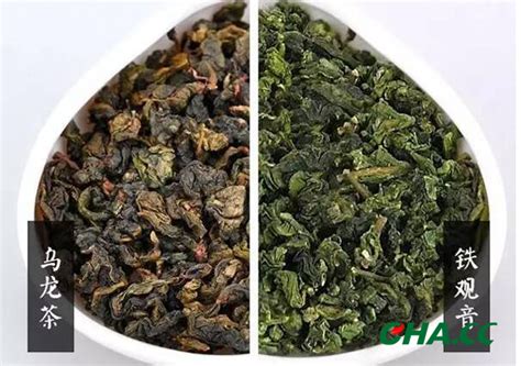 黑乌龙茶与铁观音茶的区别,铁观音茶与乌龙茶的有什么区别