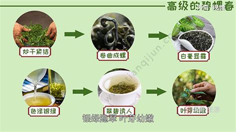 中国有哪些著名茶叶品牌或代表性茶庄,洞庭山在哪个省