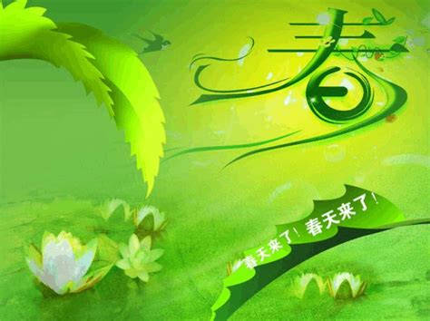 为春天伴奏作文300字【推荐5篇】