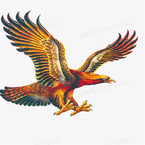 大鹏展翅纹身,受伤后纹身鼓励自己