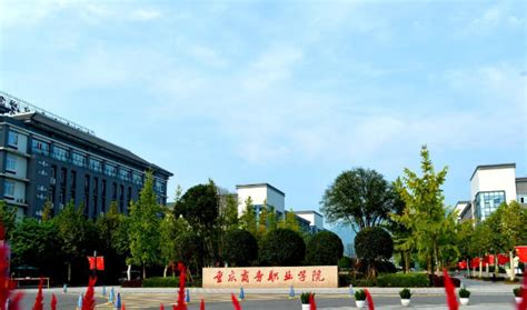 智能制造……重庆大学新增4个本科专业,重庆大学有什么好专业好
