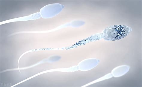 精子在外面能存活多久