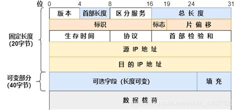 IP数据包的格式